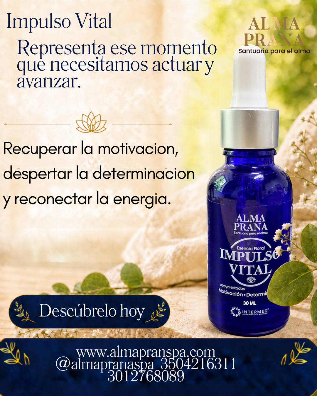Impulso Vital